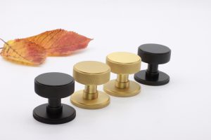 Door Knob - Spira Brass 